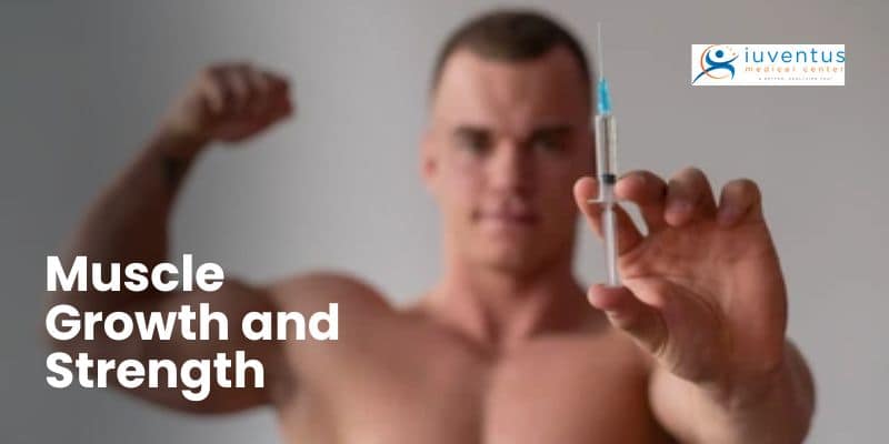 Muscle Growth and Strength